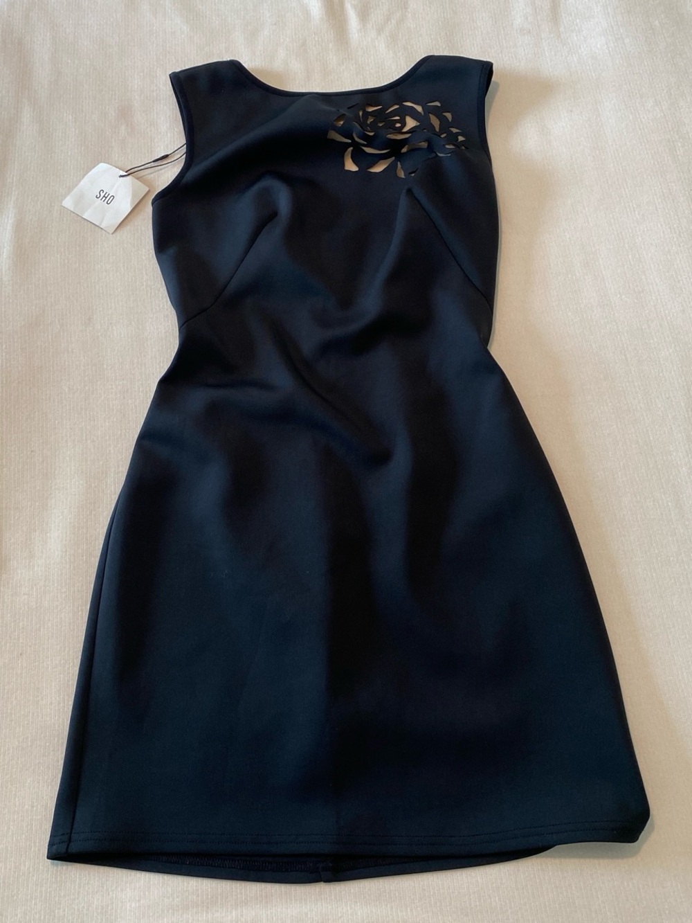 Sleeveless Black Mini Dress with Laser-Cut Floral Detail